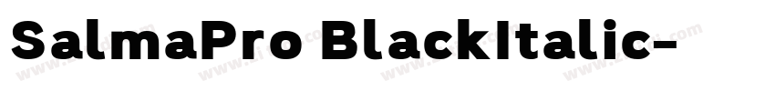 SalmaPro BlackItalic字体转换 SalmaPro BlackItalic字体转换